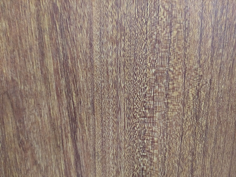 貴族金絲楠